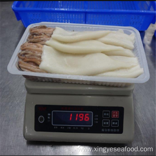 Frozen T+T Squid Products Todarodes Pacificus Squid Products